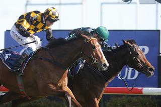 Group Three Gold Trail Stakes winner Aretha (NZ) dominated the first leg of the Series. Photo: Trish Dunell 